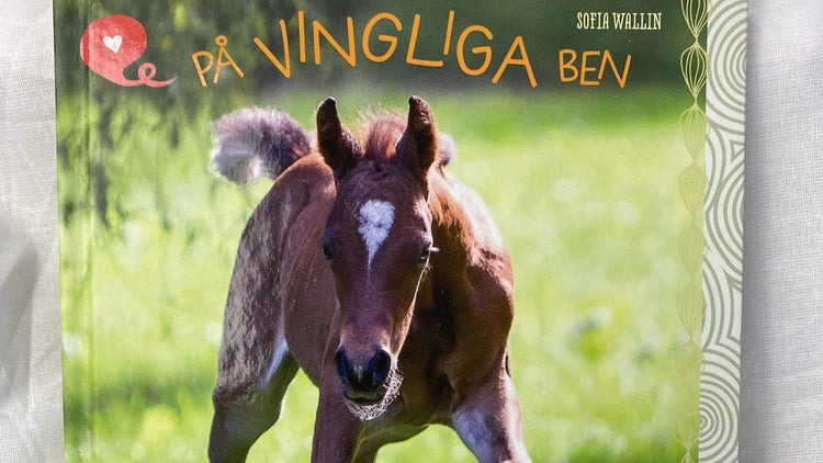ÖVRIGT inom SecondHand