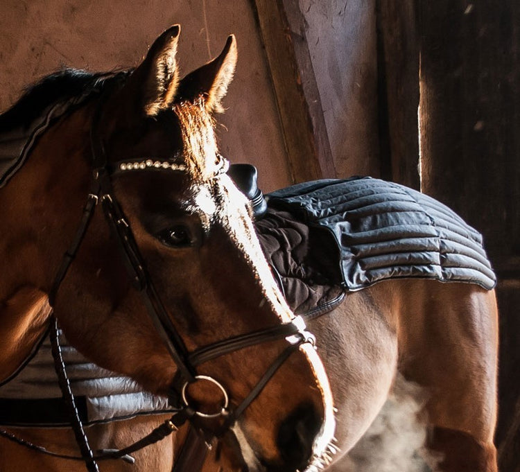 EQUIE ECO Vetevärmare för häst
