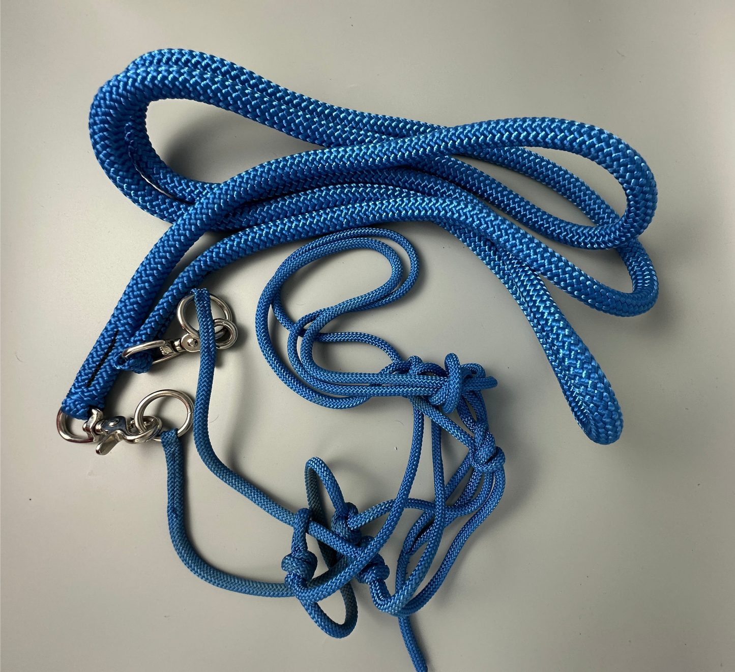 Rope halter with rein