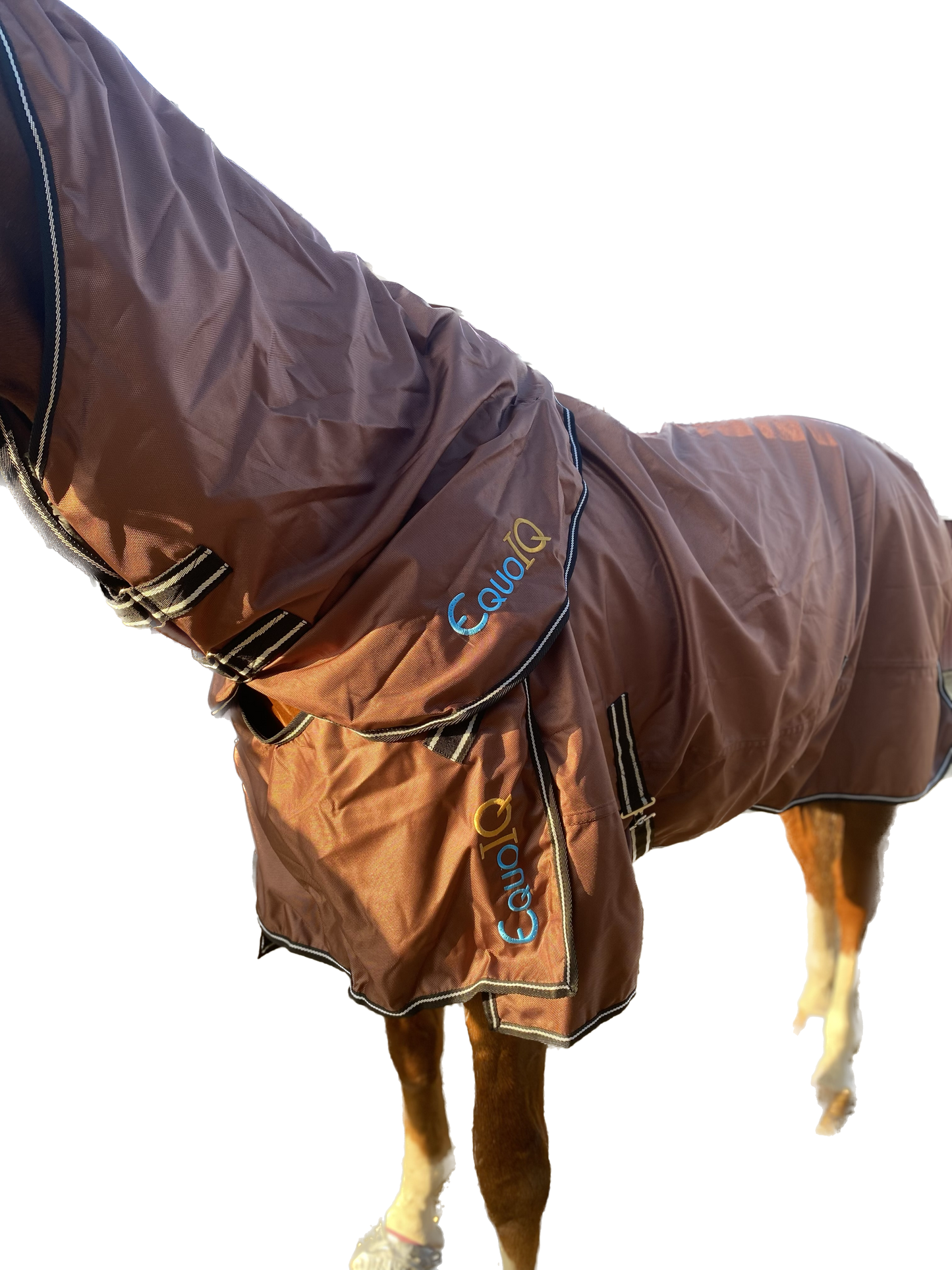 Rain cover 0g | 145 | EquoIQ