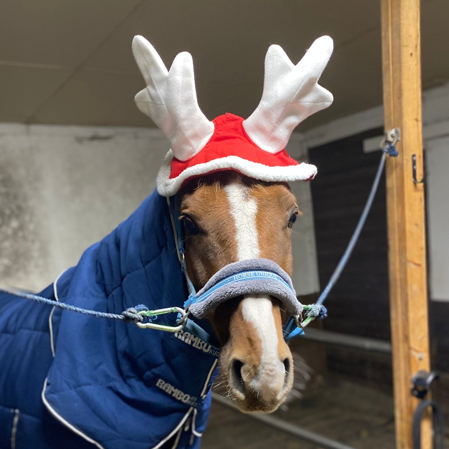 Julset för häst 6 delar