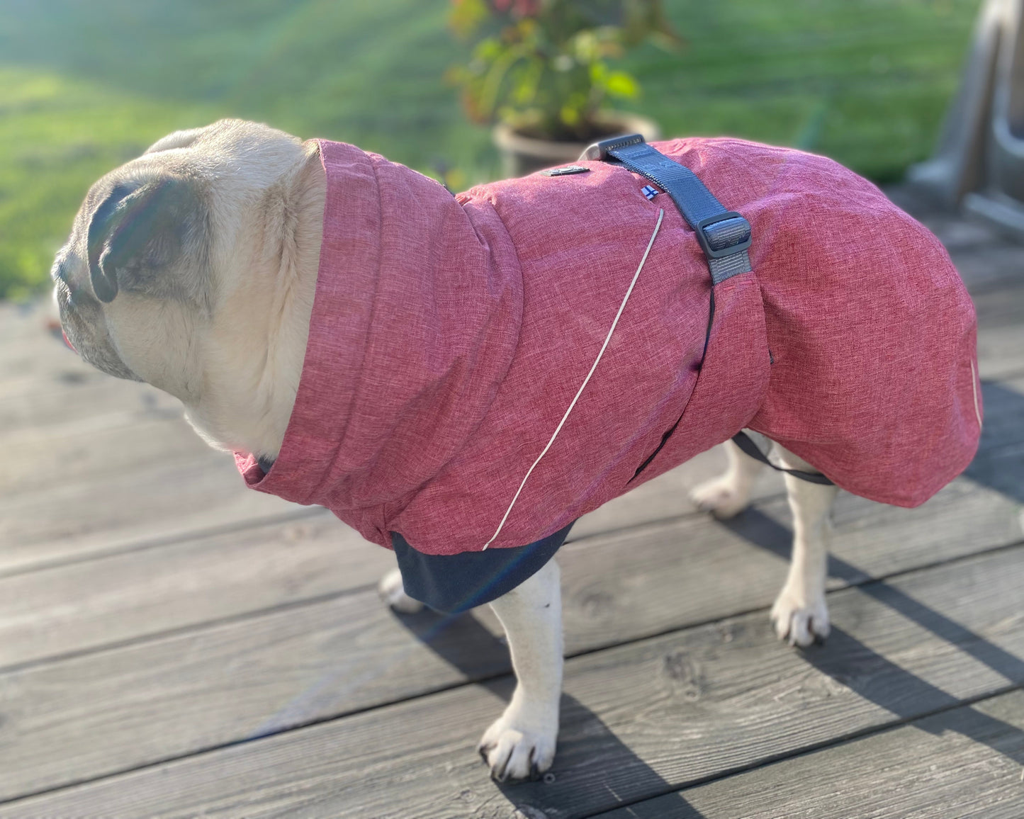 Dog blanket with reflective details | 35XL | Hurtta Expedition Parka