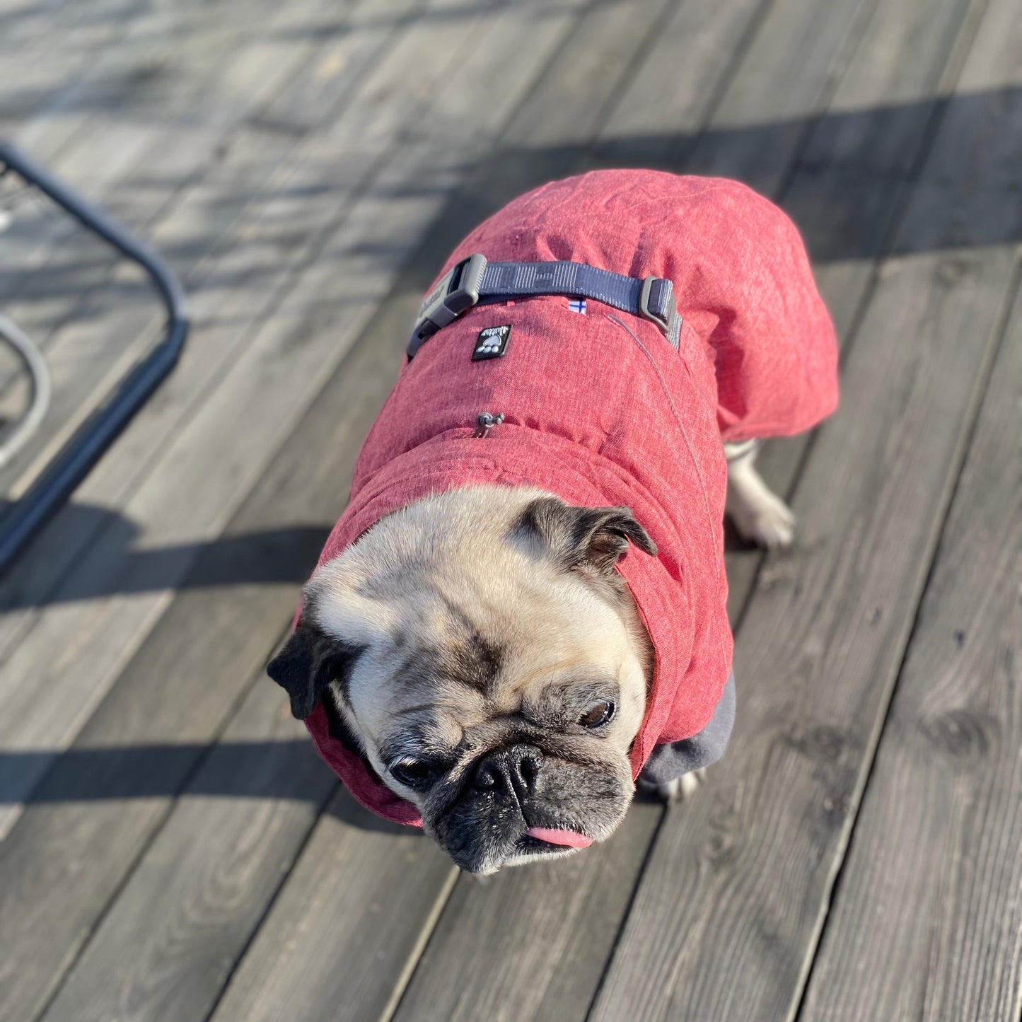 Dog blanket with reflective details | 35XL | Hurtta Expedition Parka