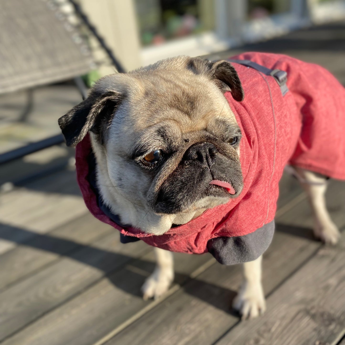 Dog blanket with reflective details | 35XL | Hurtta Expedition Parka