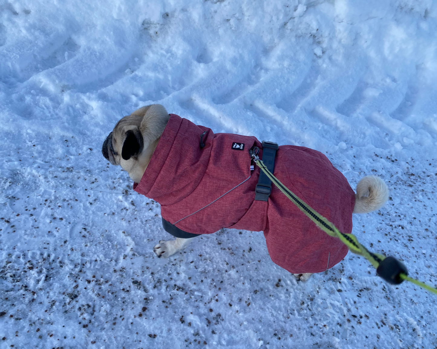 Dog blanket with reflective details | 35XL | Hurtta Expedition Parka