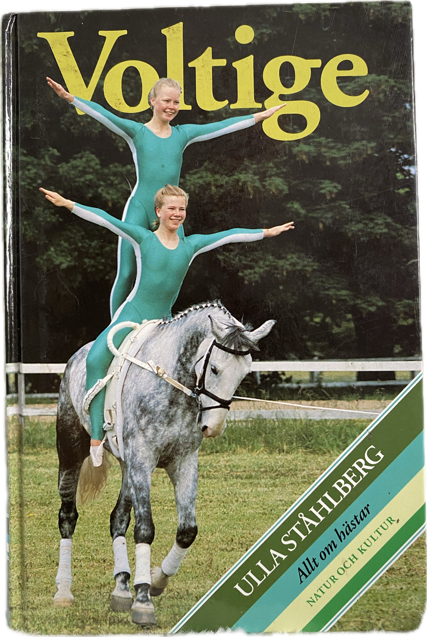Vaulting shoes + book | IWA