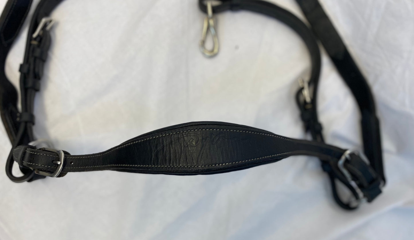 Forelock incl. martingale | Dyón