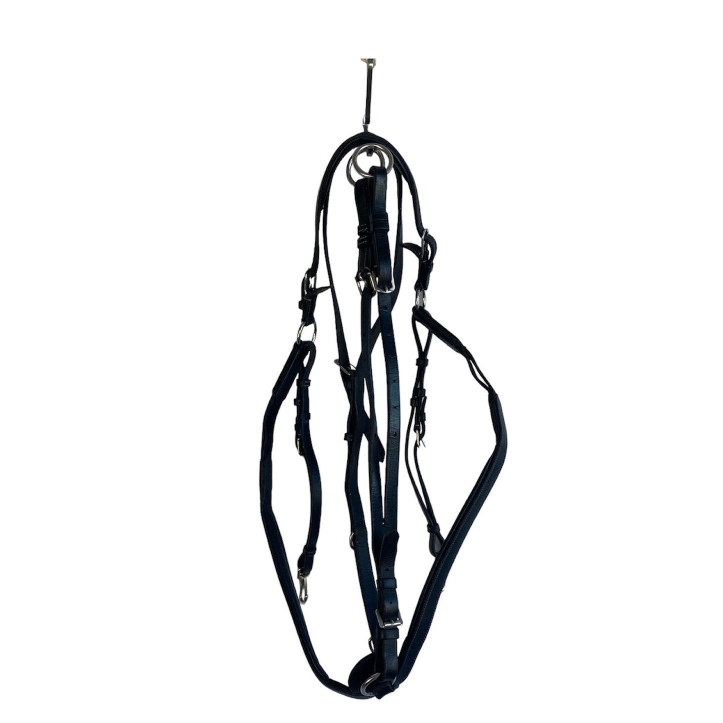 Forelock incl. martingale | Dyón