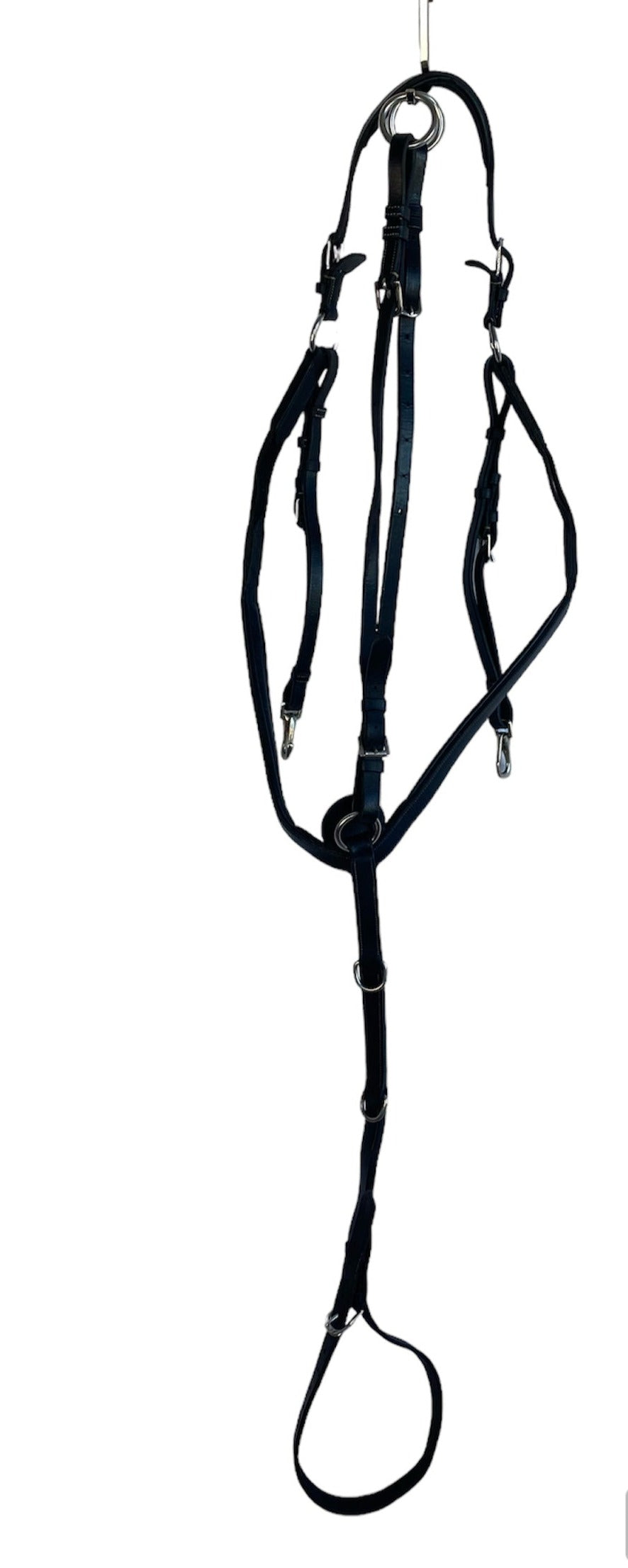 Forelock incl. martingale | Dyón