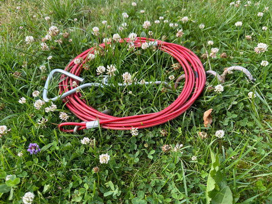 Running line with ground screw