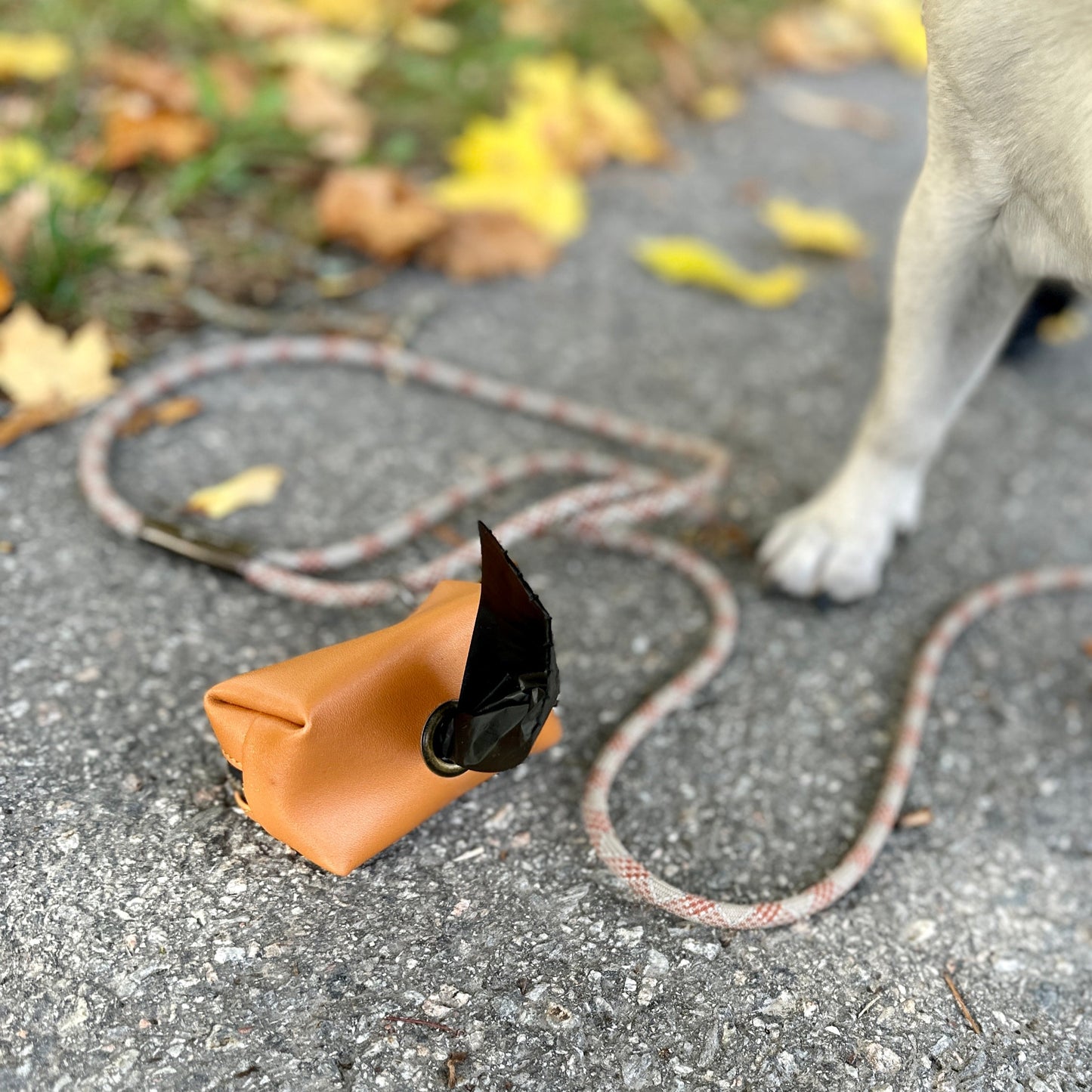 Dog poop bag holder