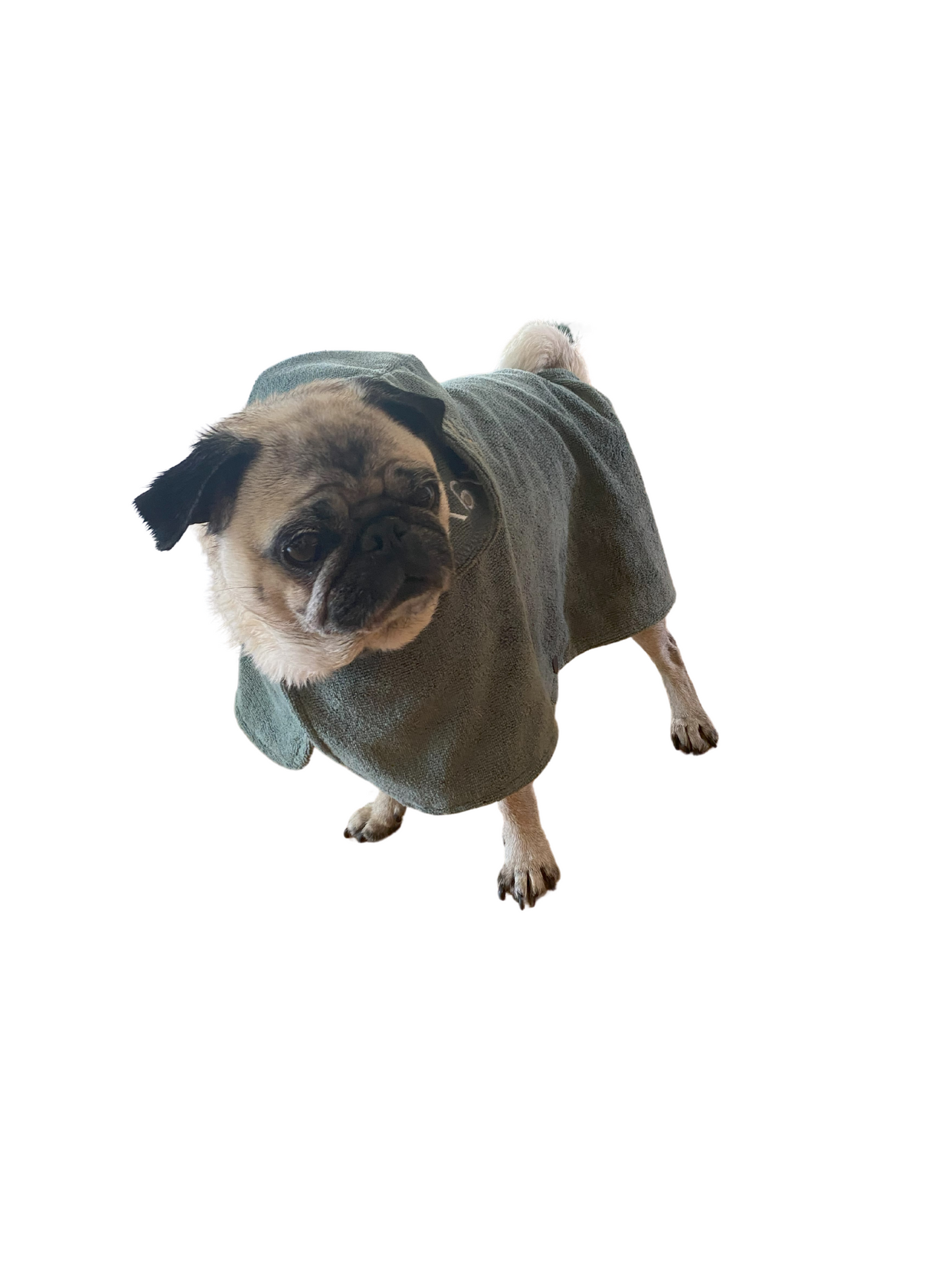 Dog blanket bathrobe | 30 | Traxx