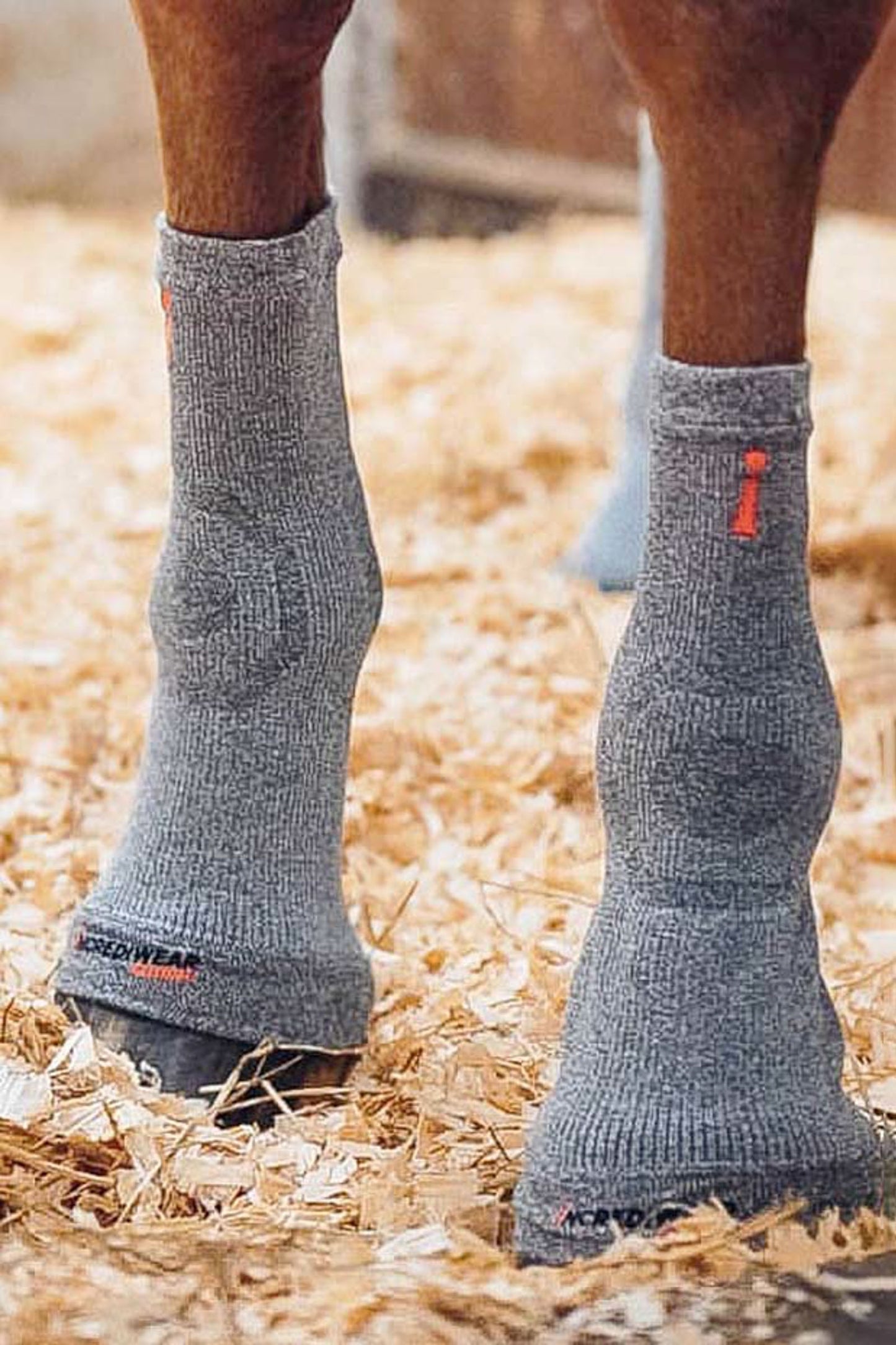Hoof socks Active Recovery | Incrediwear Equine
