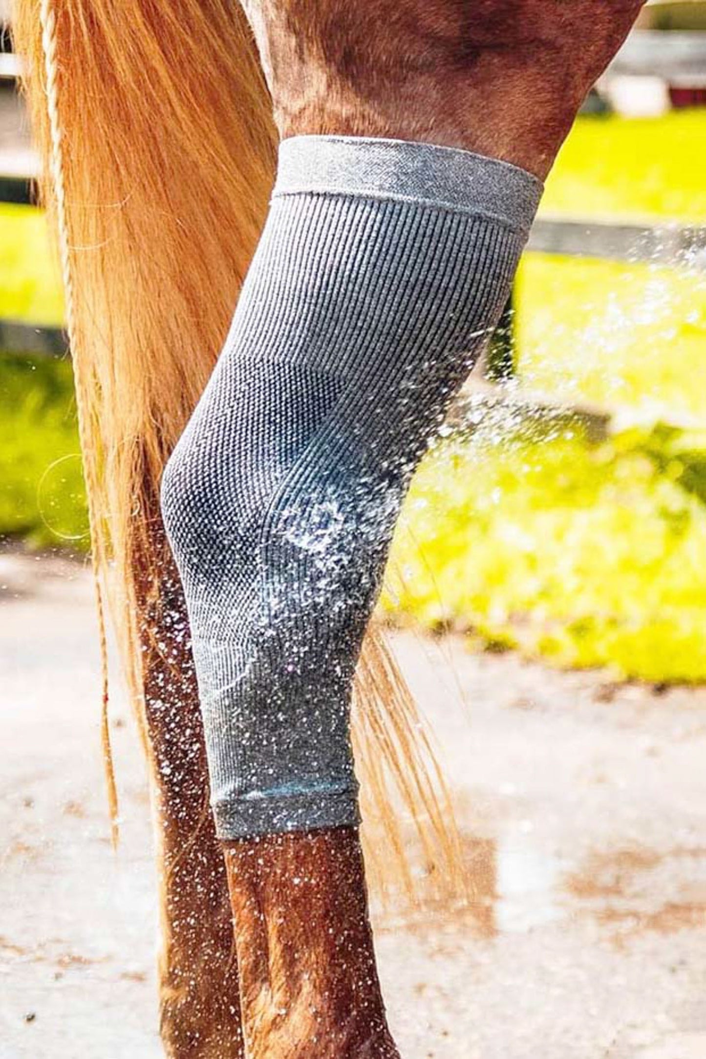 Hoof socks Active Recovery | Incrediwear Equine