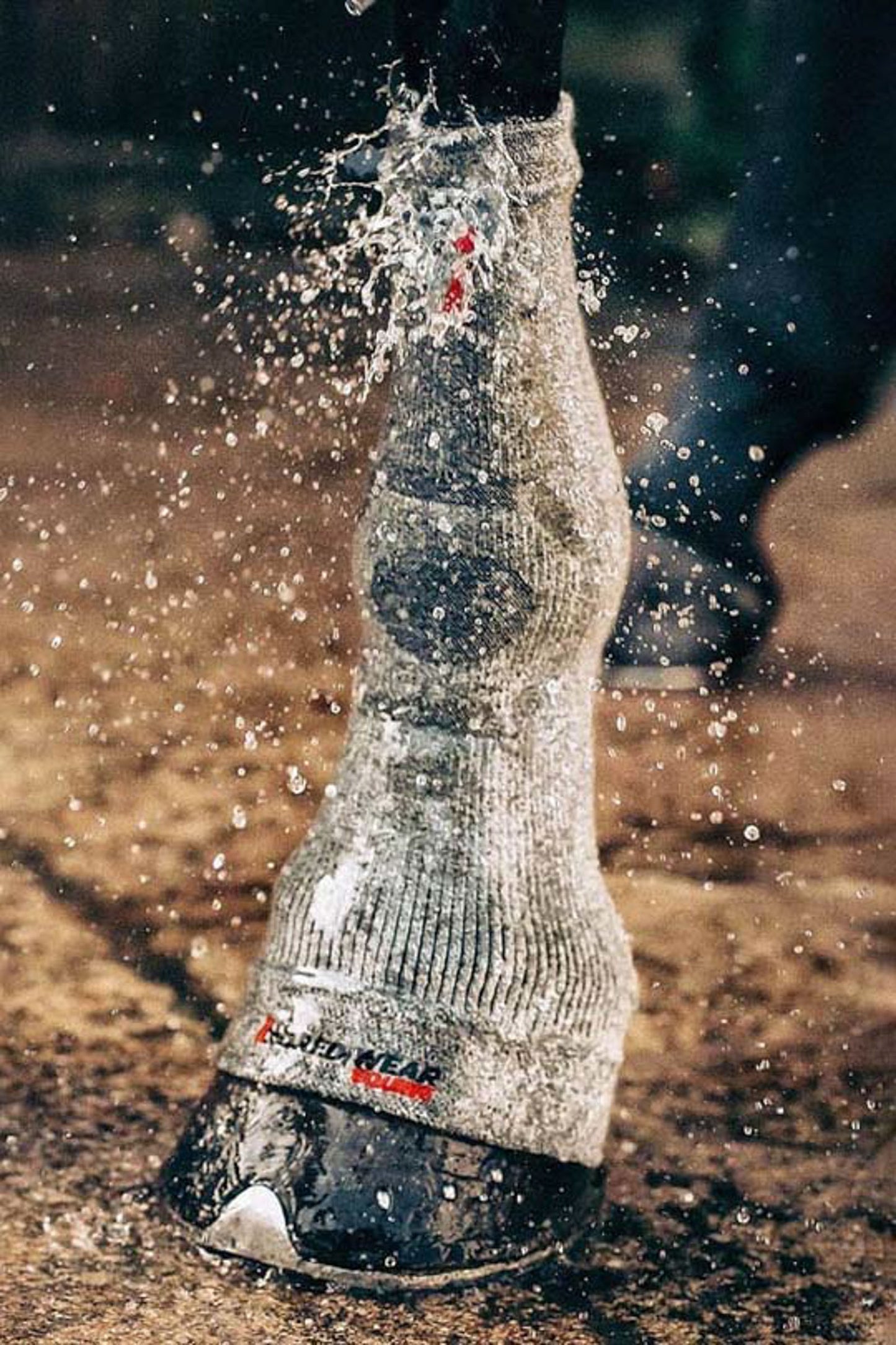 Hoof socks Active Recovery | Incrediwear Equine