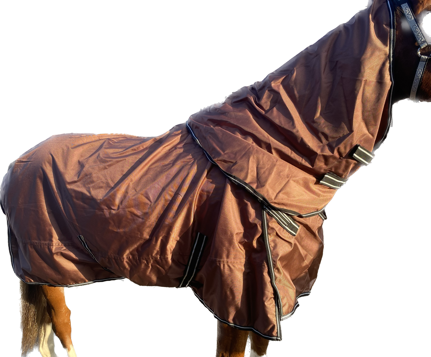 Rain cover 0g | 145 | EquoIQ