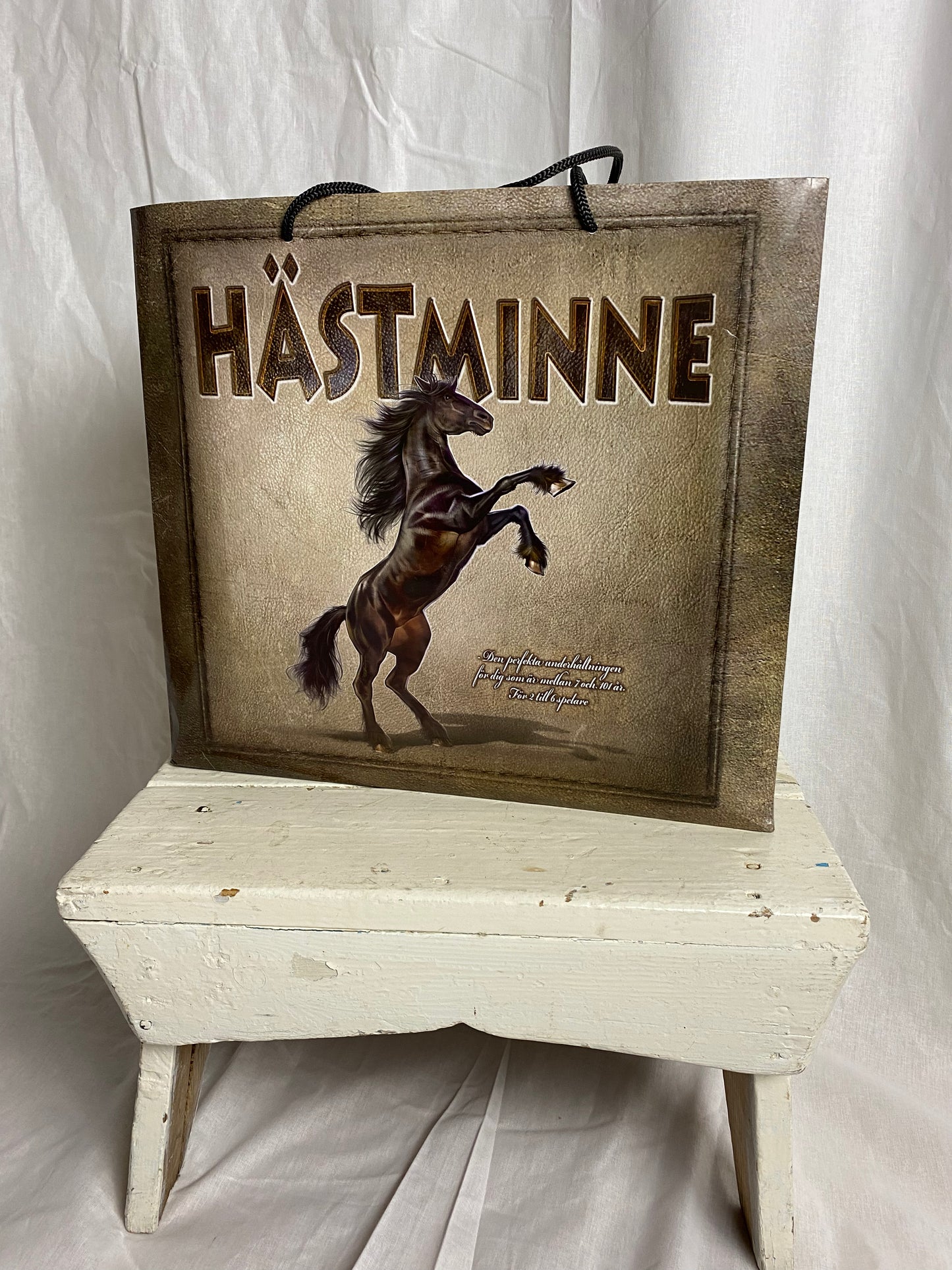 Horse memory board game