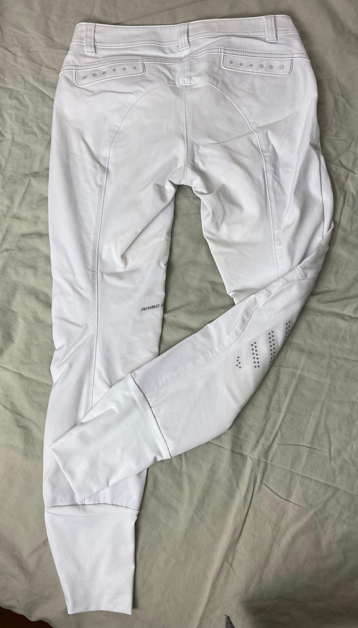 Riding breeches | S-34 | Animo