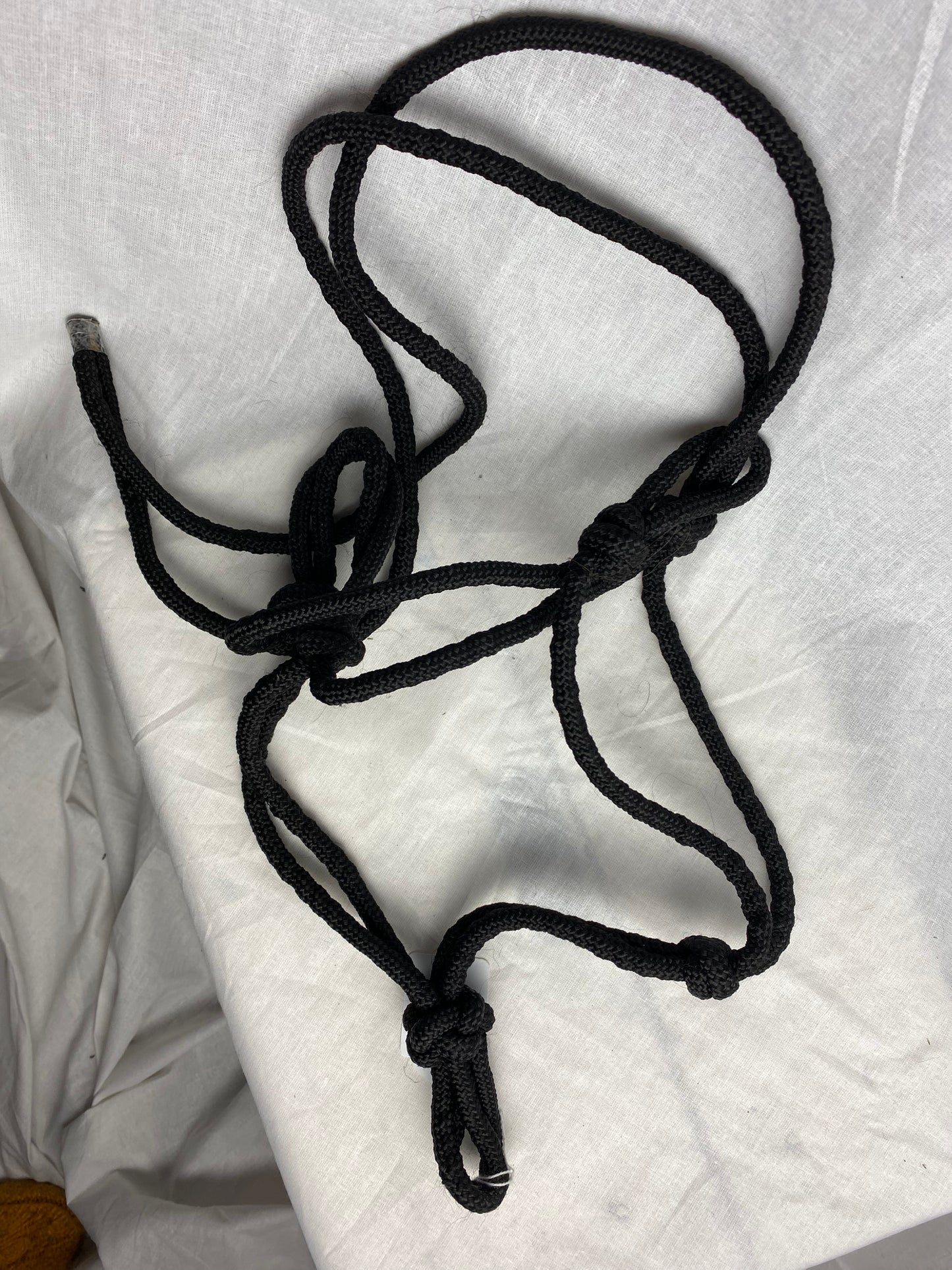 Rope halter