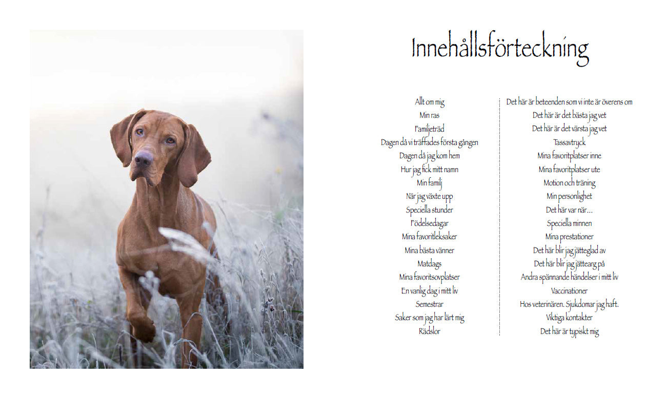 Book | My wonderful dog life