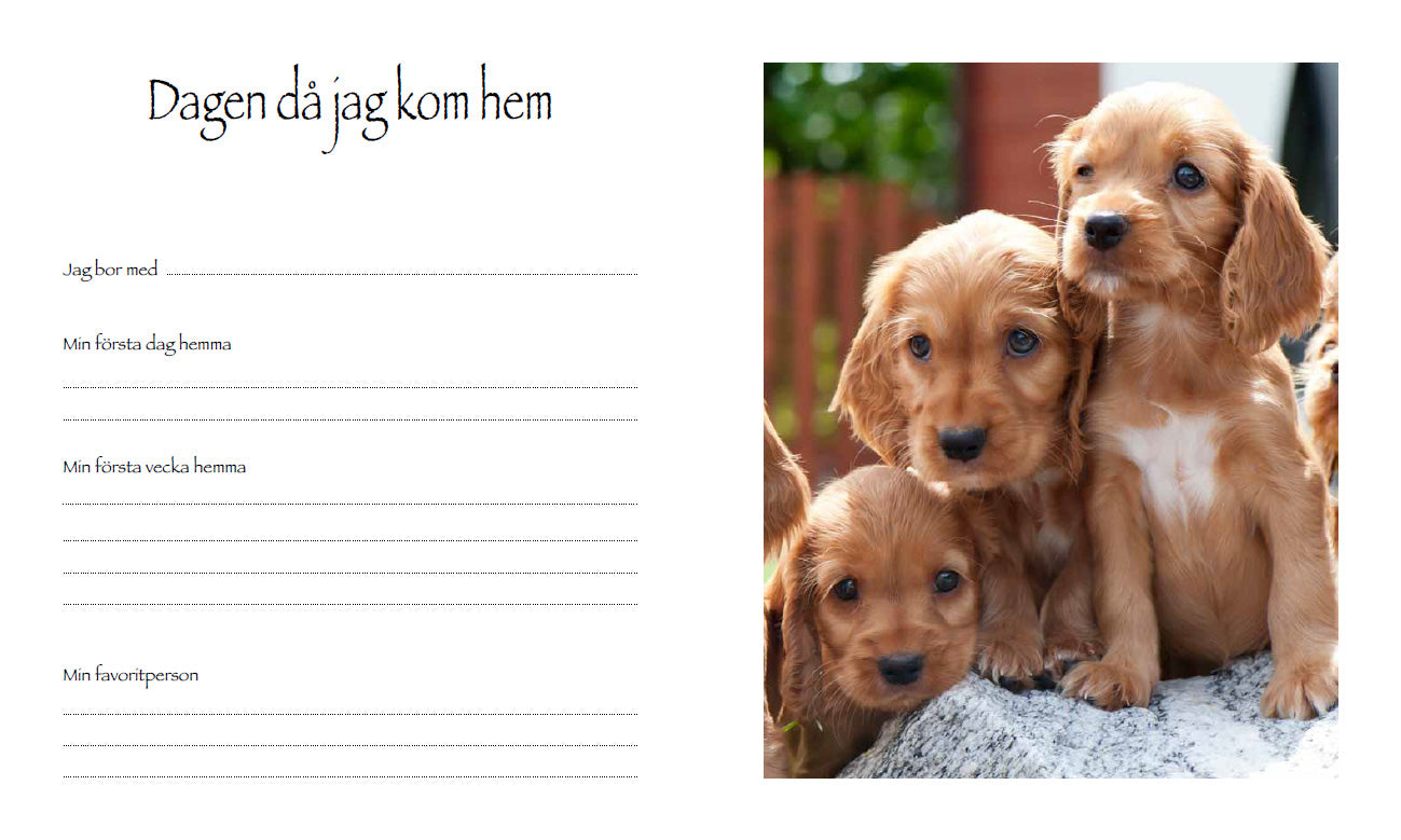 Book | My wonderful dog life