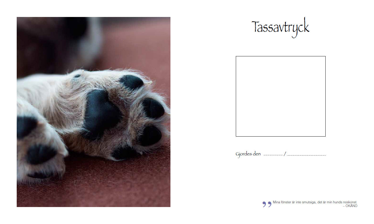 Book | My wonderful dog life