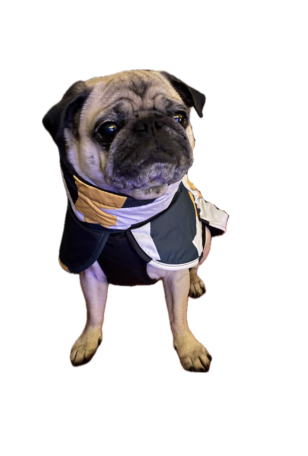Dog blanket with reflective details | 35 | Rukka