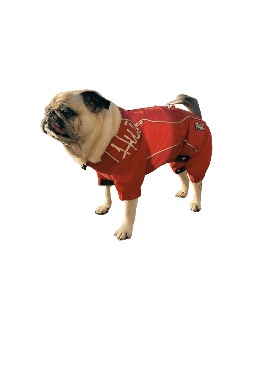Dog overalls | 381 | Hurtta