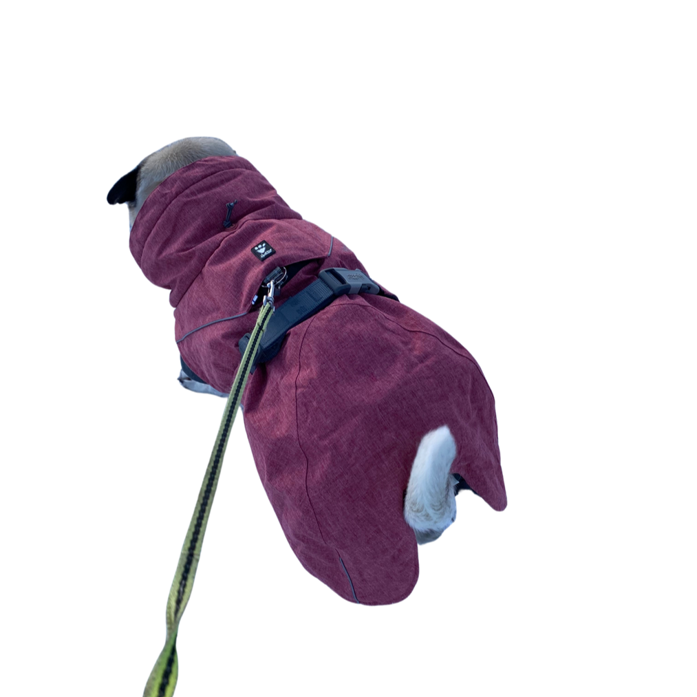 Dog blanket with reflective details | 35XL | Hurtta Expedition Parka
