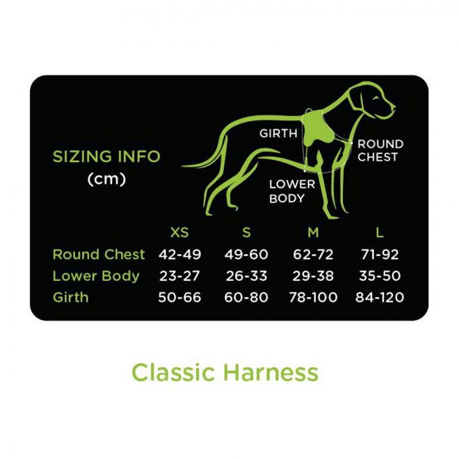 Dog harness with reflector | EQDOG