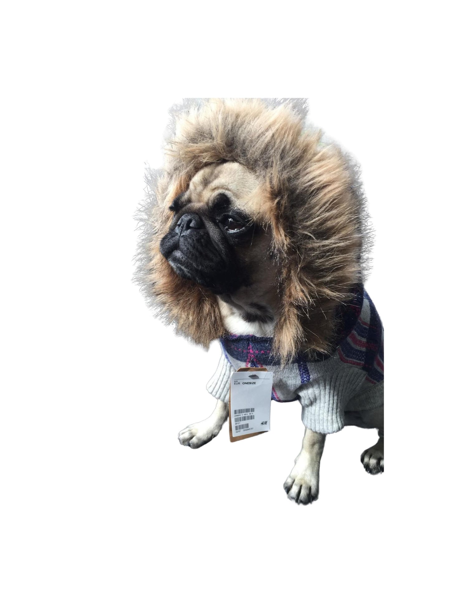 Dog Sweater Hoodie | 37 | H&M
