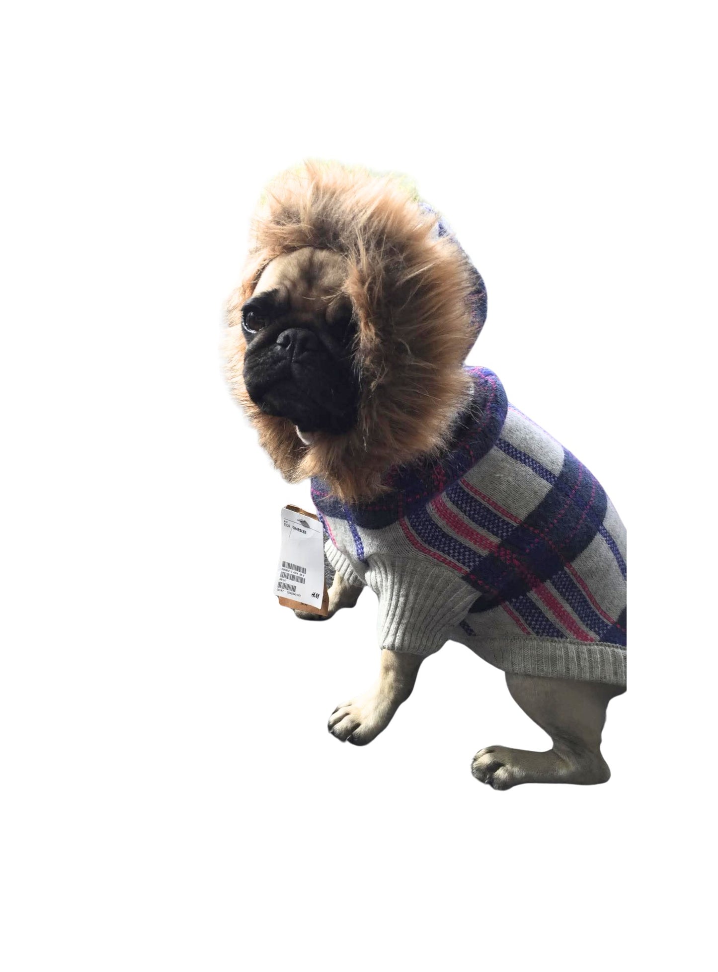 Dog Sweater Hoodie | 37 | H&M