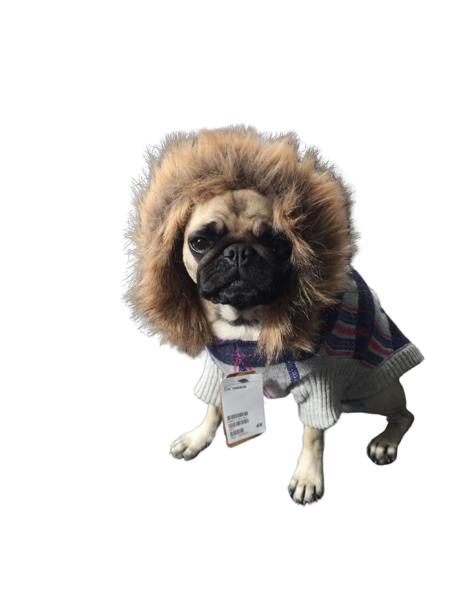 Dog Sweater Hoodie | 37 | H&M