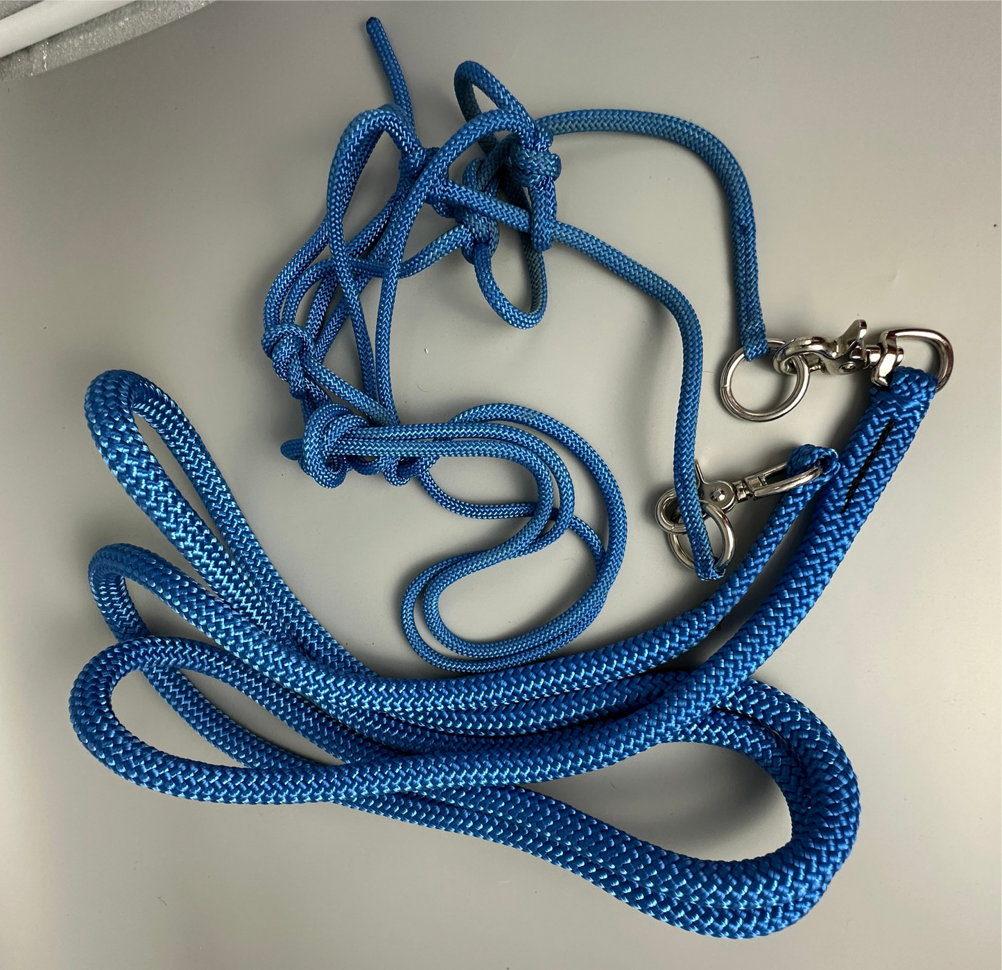 Rope halter with rein