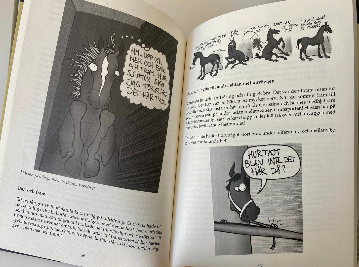 Book | Suddenly it happens... About horses and transportation by Lena Rundblom