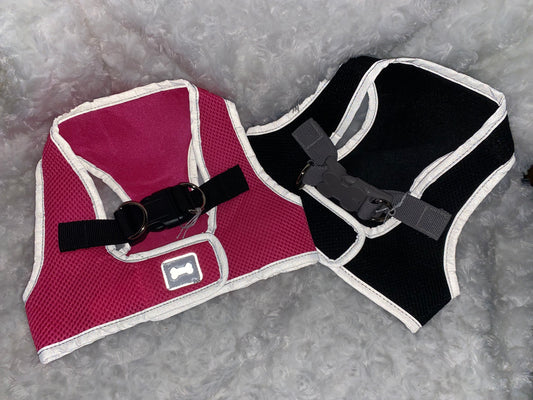 Hundsele Airmesh | M | SimplyDog