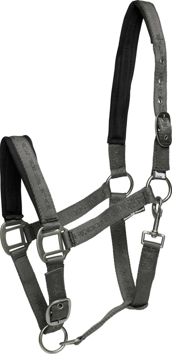 Halter | Horse Guard