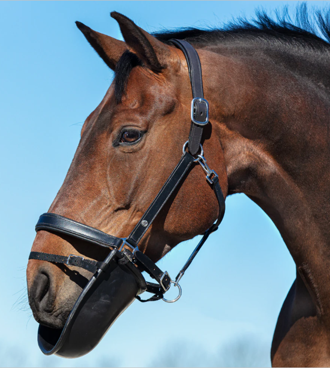 Horse bib