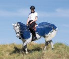 Fly grid cover | SM | Horseware Amigo Fly Rider