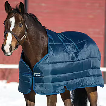 Liner 300g | 125 | Horseware Rambo