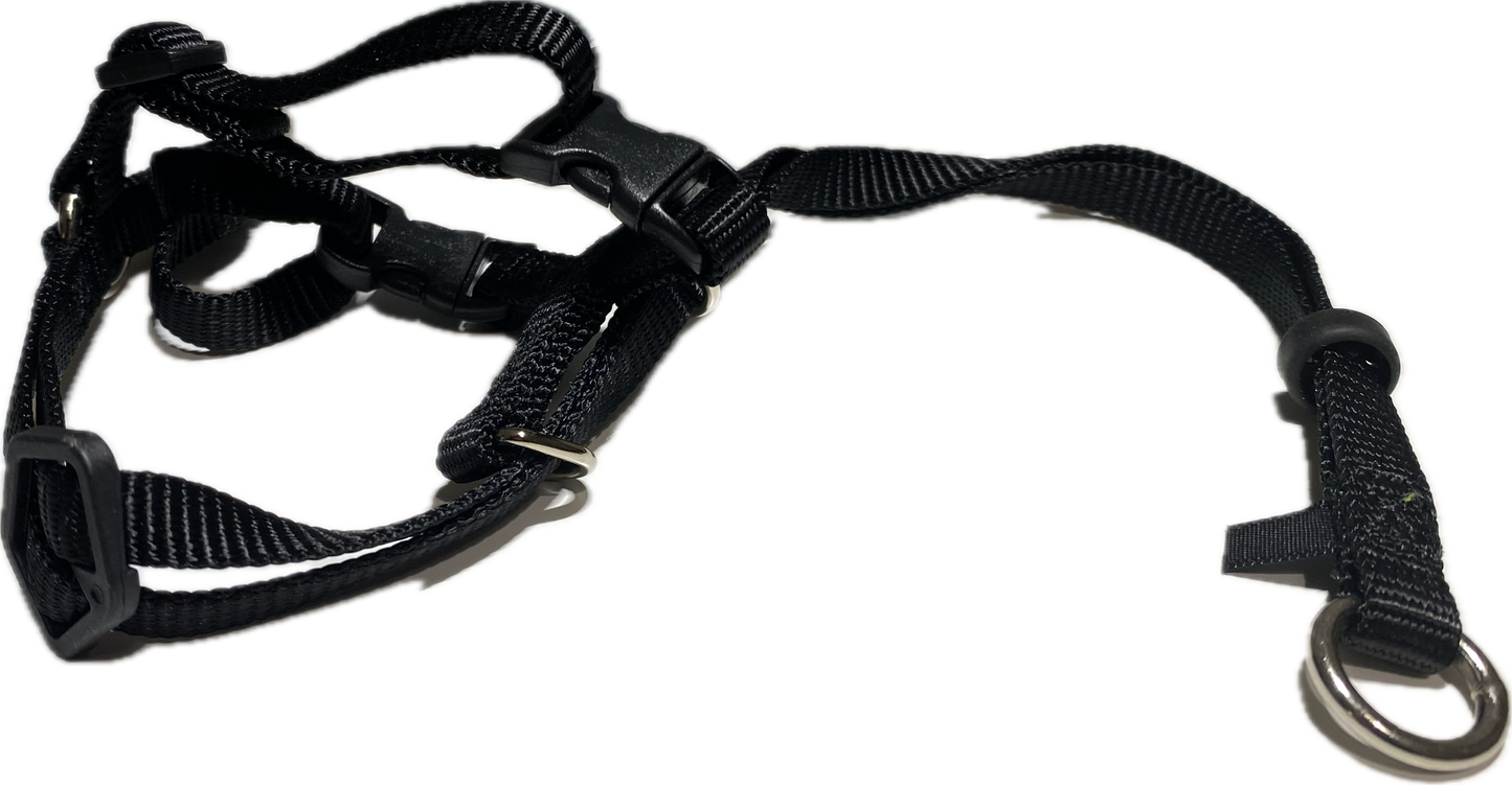 Cat Harness | PetCare Active Cats