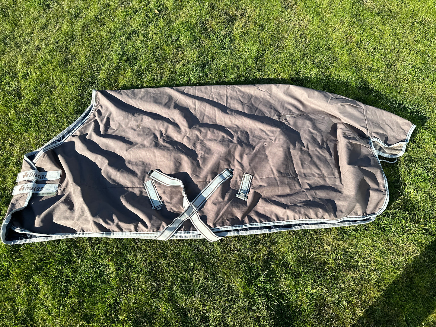 Outdoor blanket 200g | 165 | BUCAS Freedom Turnout 200