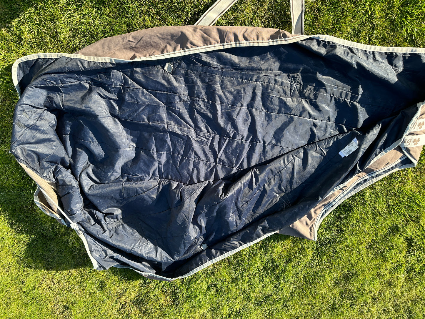 Outdoor blanket 200g | 165 | BUCAS Freedom Turnout 200