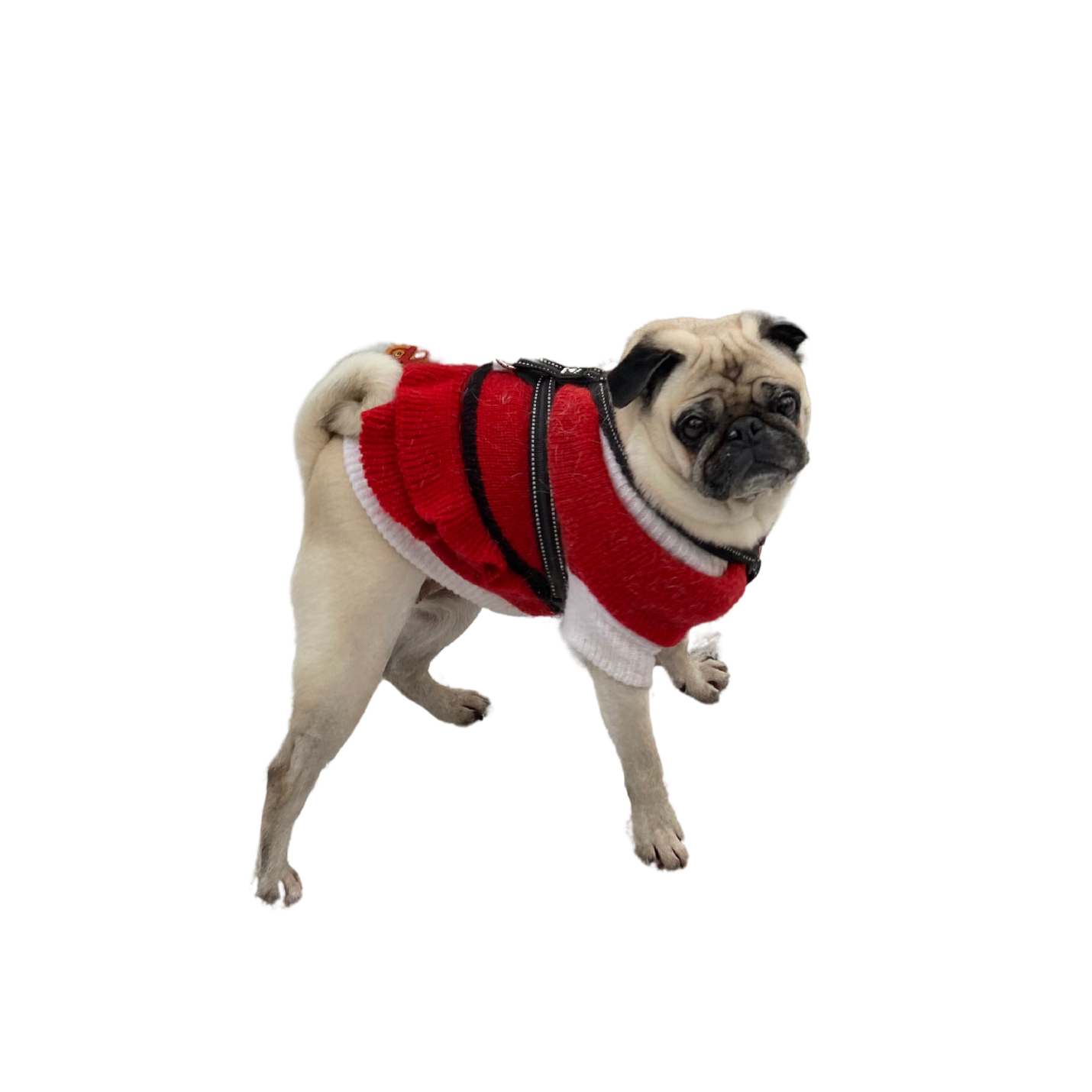 Hundtröja Jul | H&M