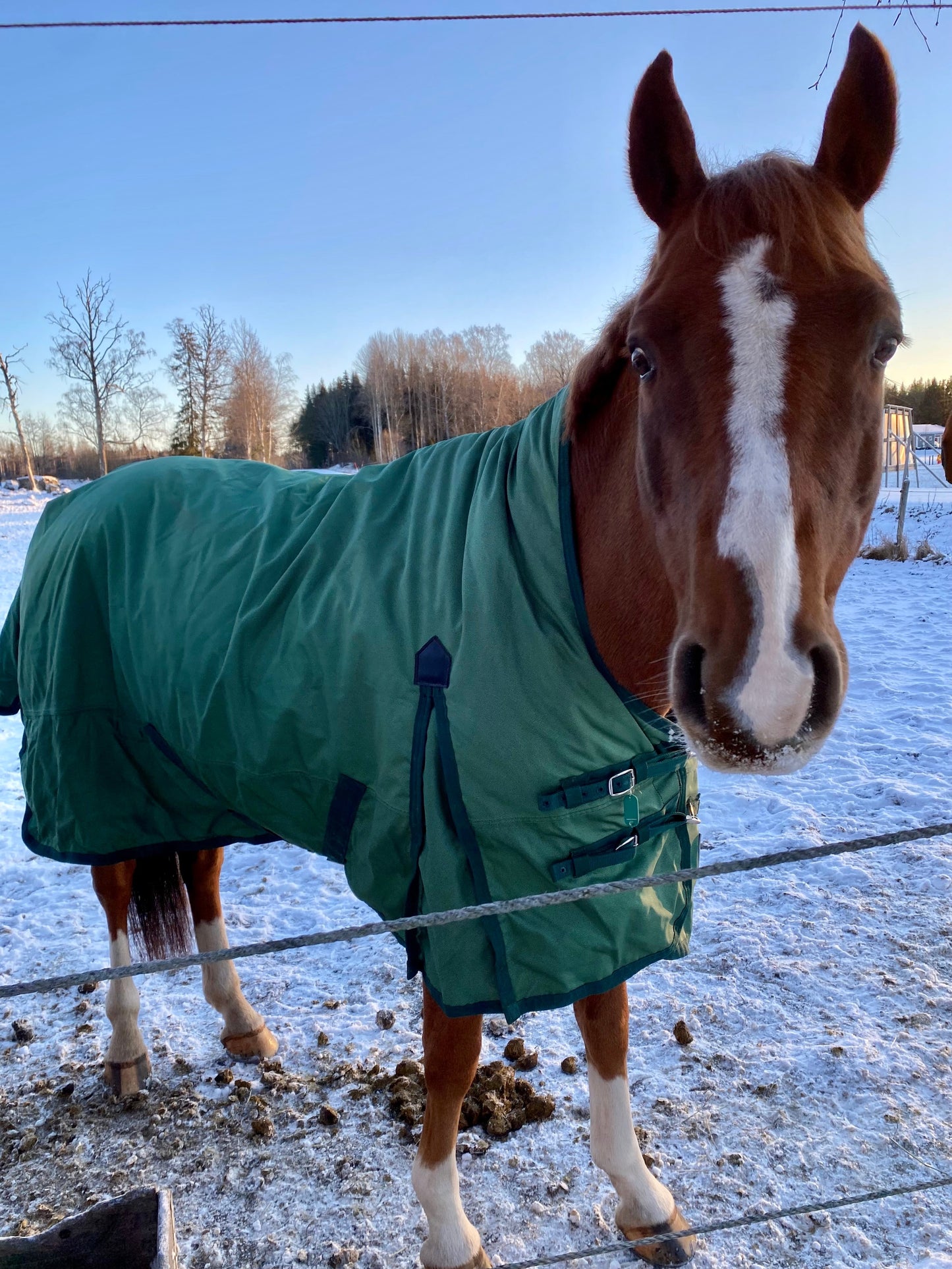 Winter blanket 300g | 135 | Three Crown Shires