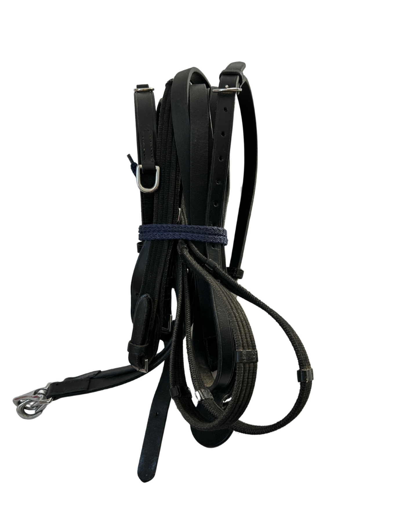 Bridle and reins | Full