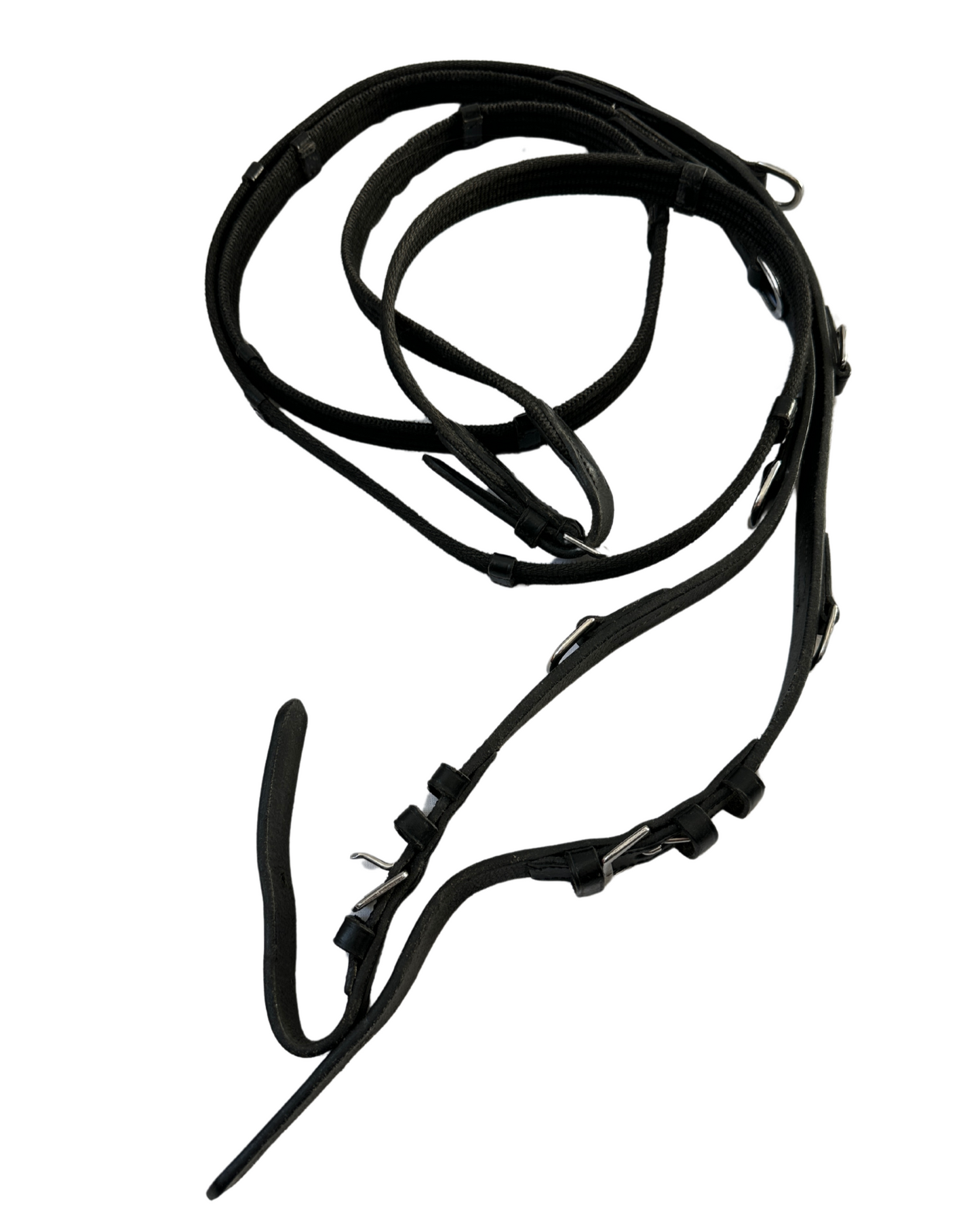 Bridle and reins | Full