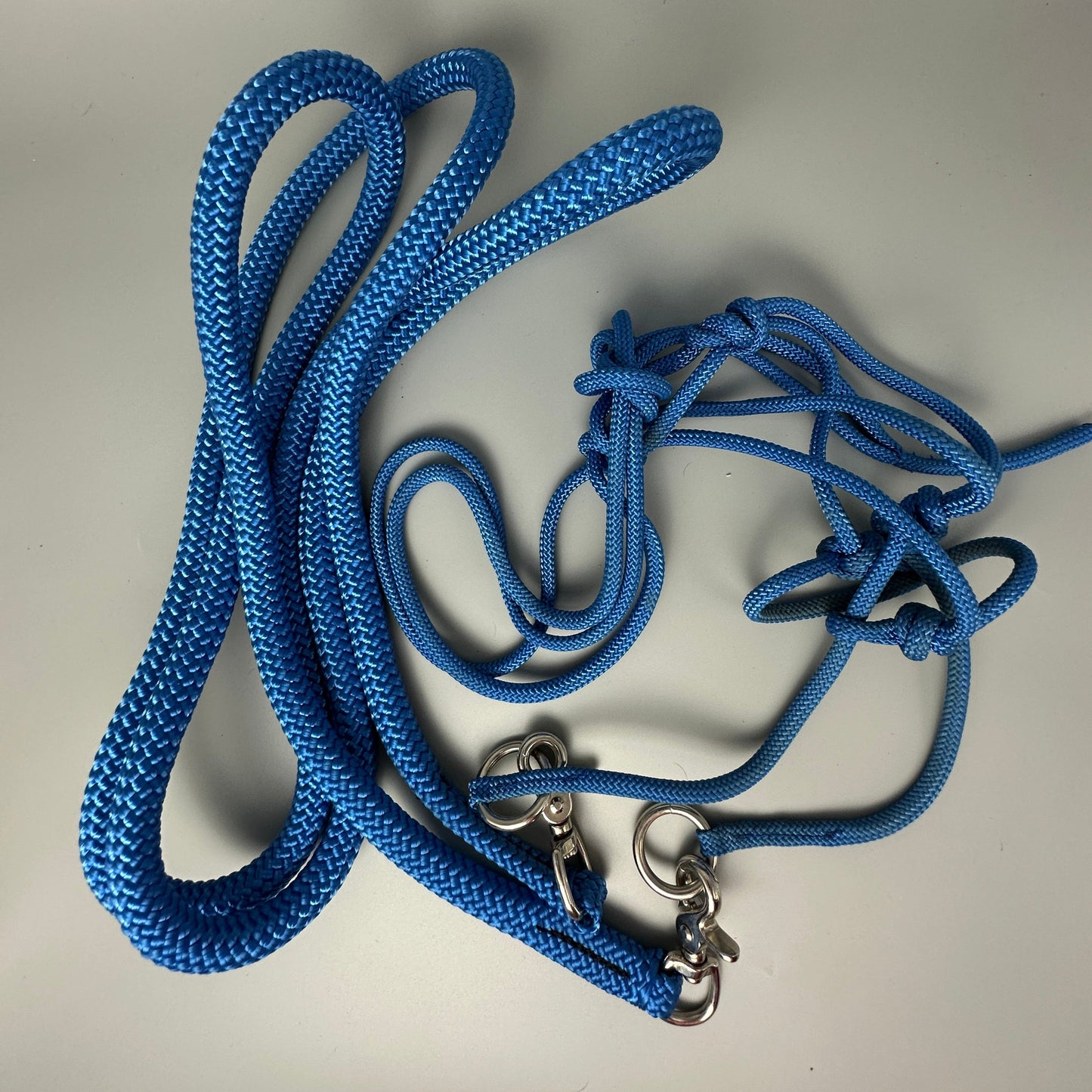 Rope halter with rein