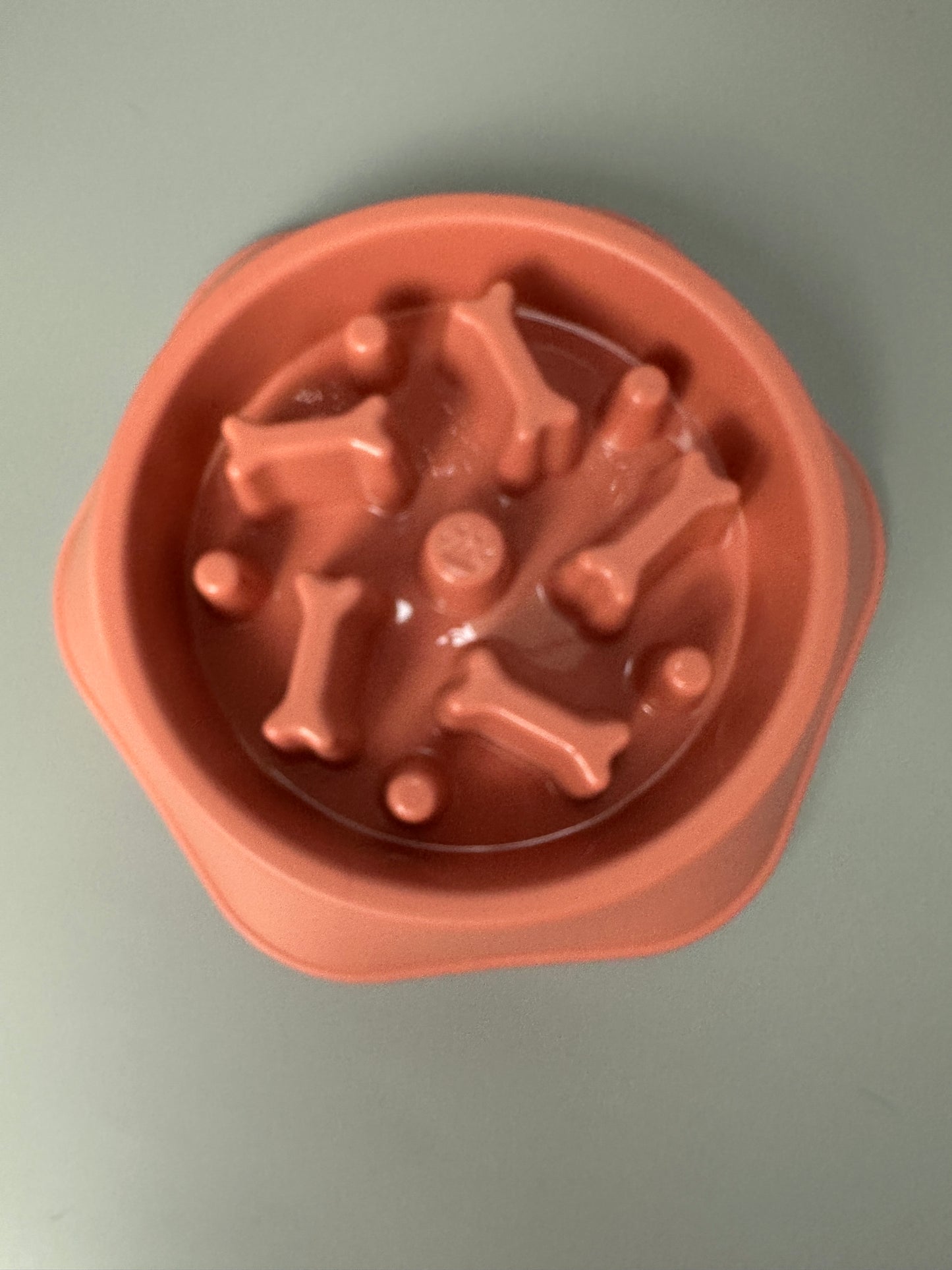 Slowfeed dog food bowl