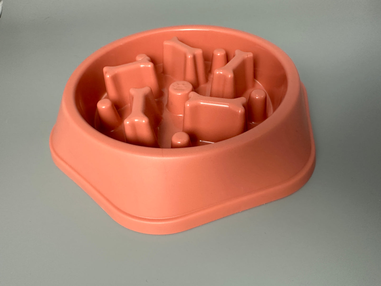 Slowfeed dog food bowl